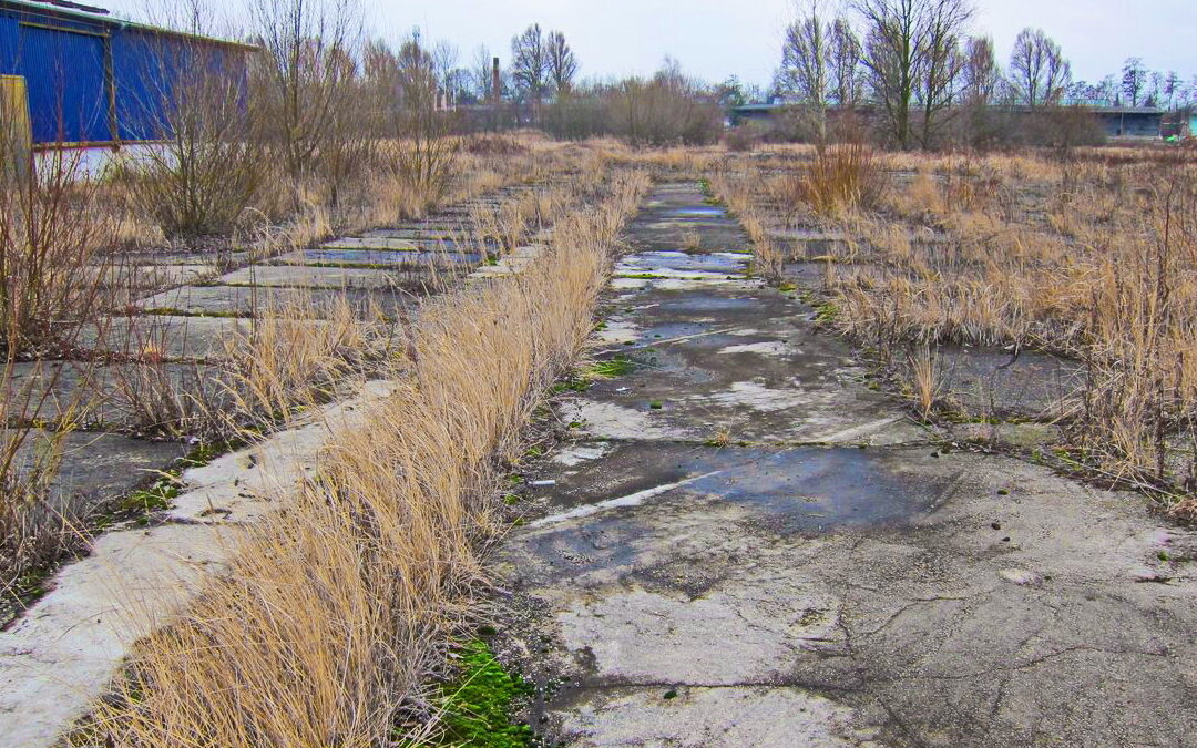 Nie tędy droga – komentarz do projektu standardu drogowego